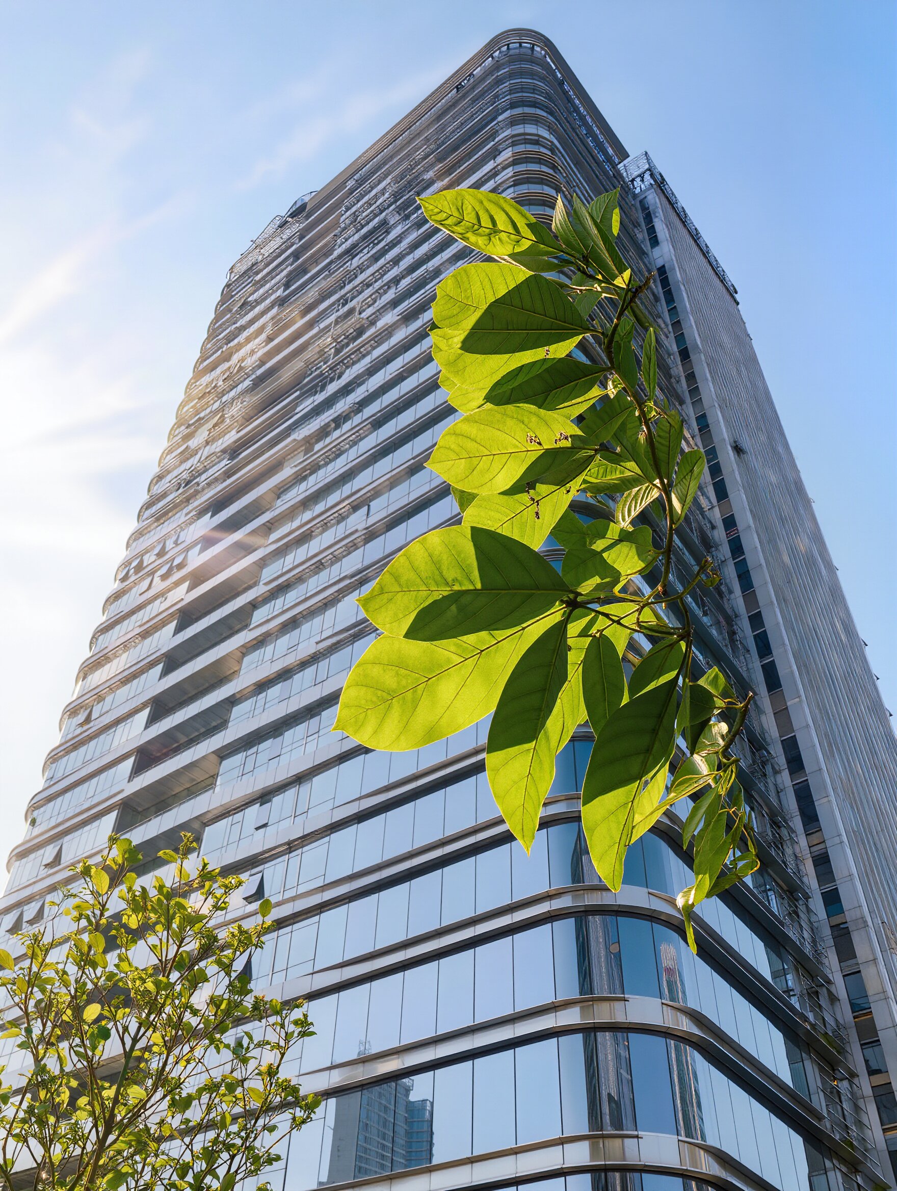 Polat GP Group publishes 2025 Sustainability Report