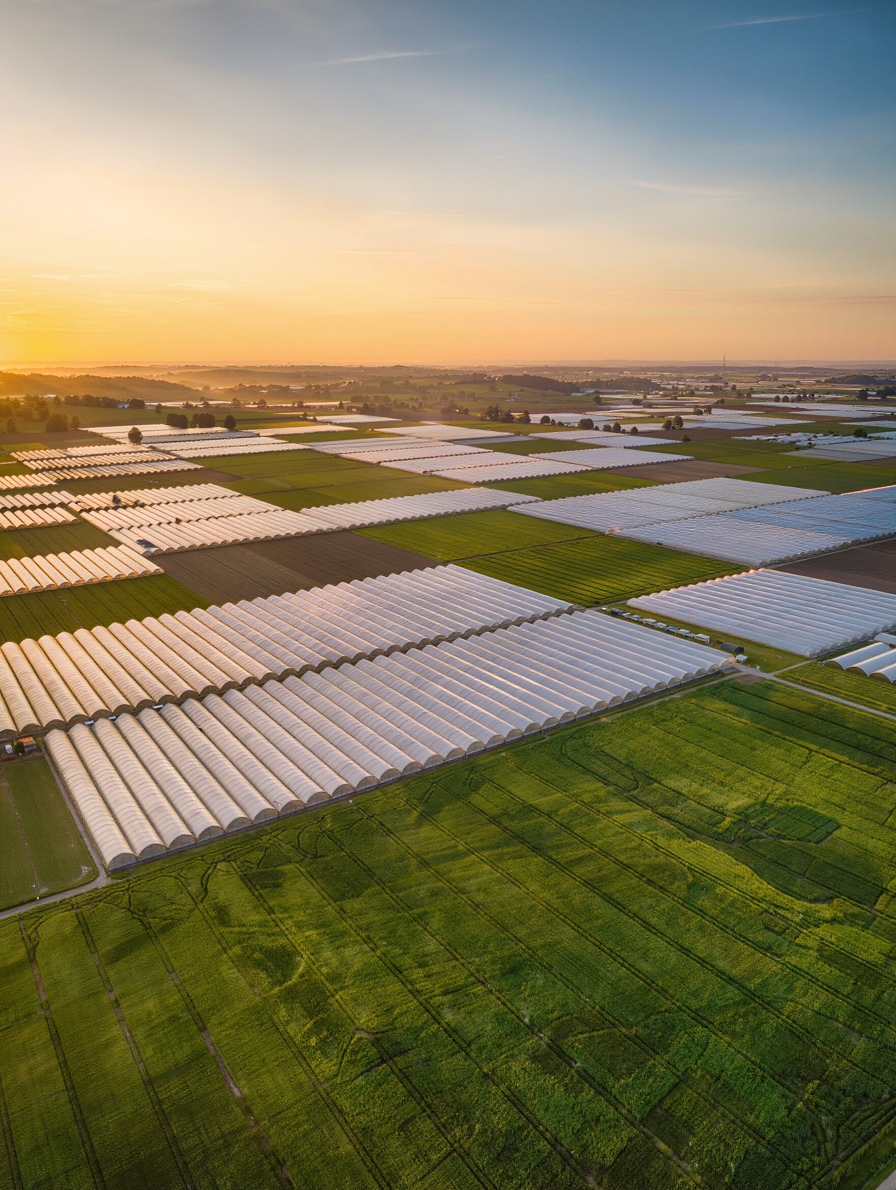 Agriculture